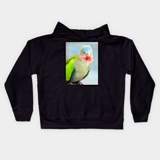 Princess Parrot Kids Hoodie